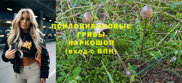 дурь Пролетарск