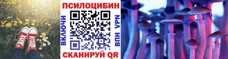 купить закладку  Калач  Галлюциногенные грибы GOLDEN TEACHER 
